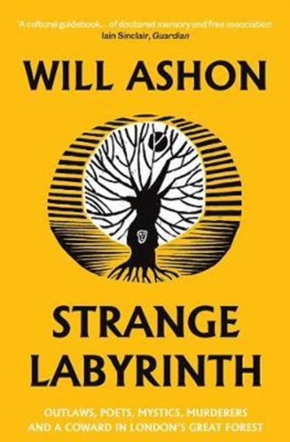 Strange Labyrinth by Will Ashon
